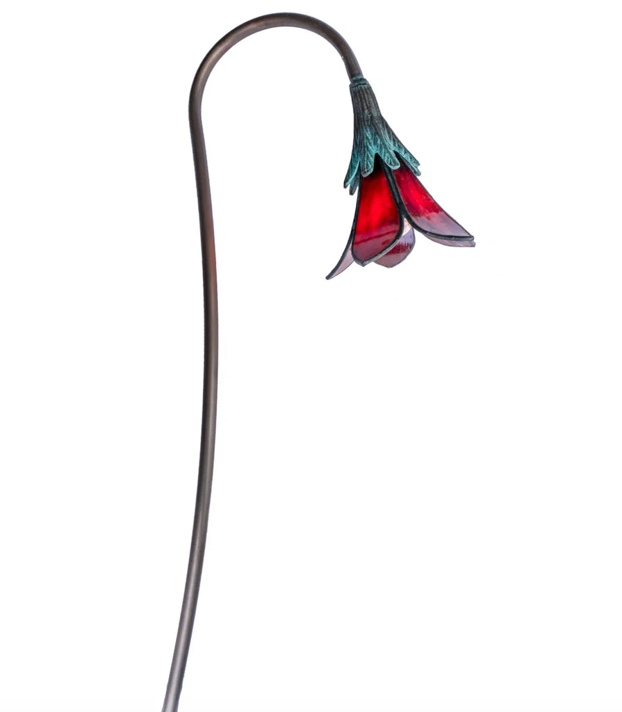 Star Lily (No Leaves)