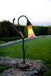 Calla Lily