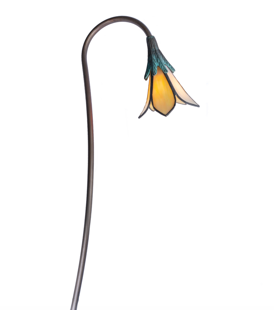 Star Lily- No Leaves