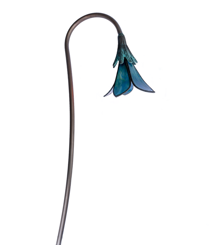 Star Lily- No Leaves