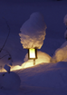 Fernwood Lantern