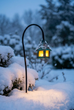 Fairy Lantern