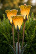 Tulip Cluster Bronze