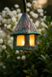 Fairy Lantern