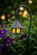 Fairy Lantern