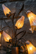 Star Lily Sconce