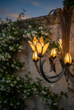 Star Lily Chandelier